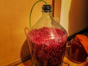 Домашний способ приготовления вина
