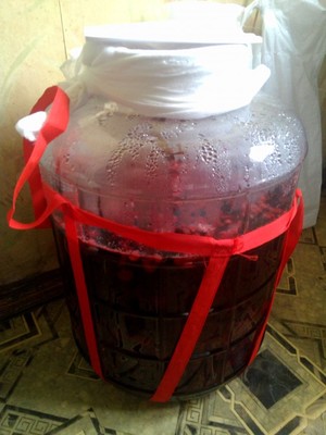 Приготовление вишневки дома на спирту