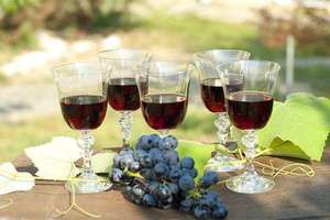 Время сбора винограда изабелла